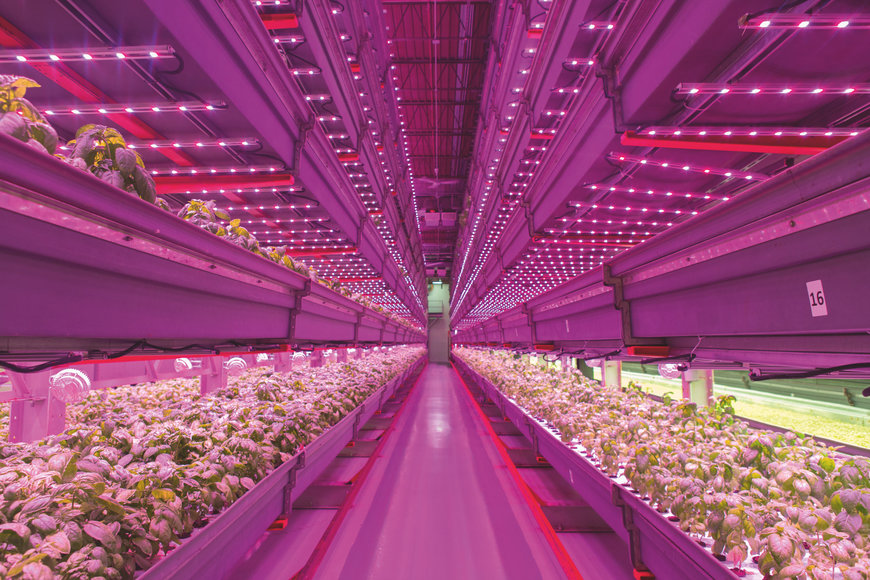 New AS7343 multi-spectral sensor adds XYZ technology to increase speed and accuracy of color measurements
